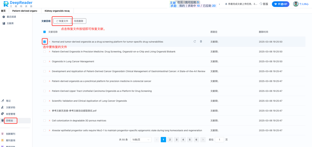 DeepReader文献阅读器文件恢复