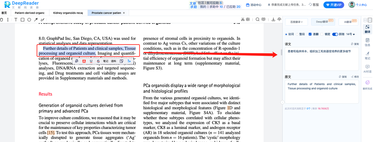 DeepReader文献阅读器段落翻译
